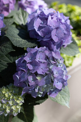 Similar image 21422093