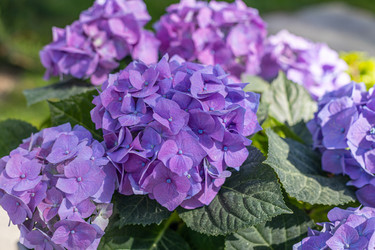 Similar image 21422095