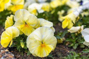 Similar image 21422100