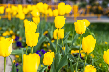 Similar image 21422102