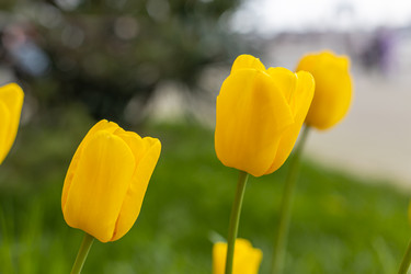 Similar image 21422103