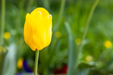 Similar image 21422104