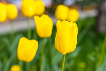 Similar image 21422105