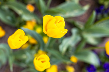 Similar image 21422106