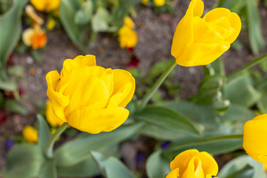 Similar image 21422107