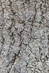 Similar image 21422109