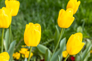 Similar image 21422111