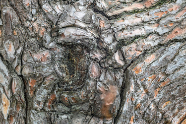 Similar image 21422112