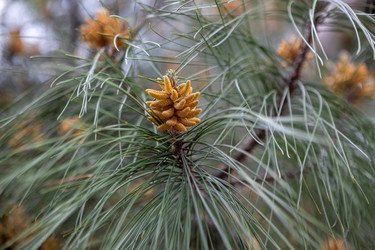 Similar image 21422117