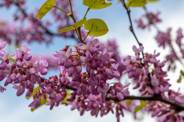 Similar image 21422118