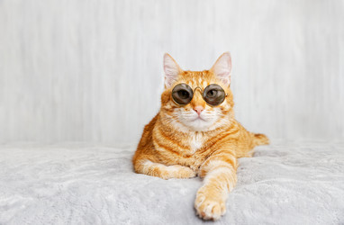 Similar image 21421807