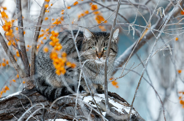 Similar image 21421809