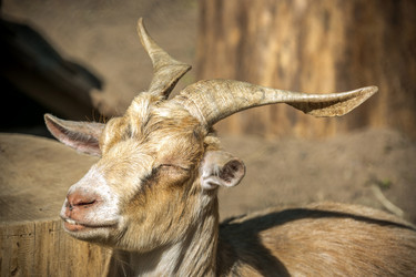 Similar image 21426699