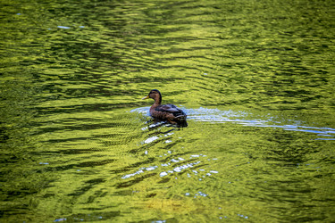 Similar image 21431647