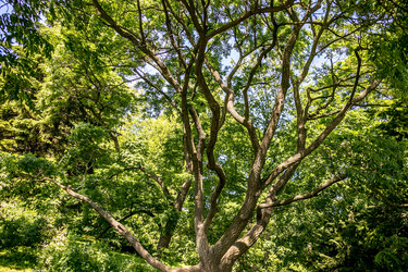 Similar image 21426711