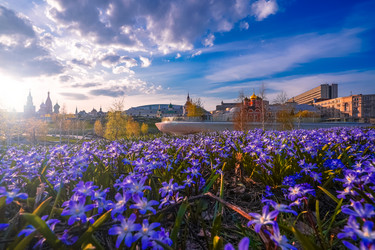 Similar image 21421913