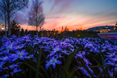 Similar image 21421914