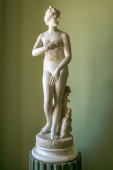 Similar image 21426716