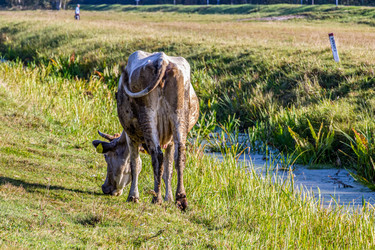 Similar image 21431729