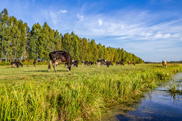 Similar image 21431734