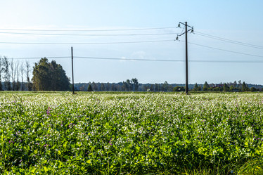 Similar image 21431741