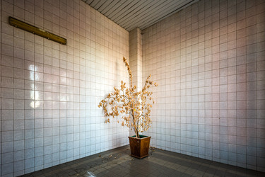 Similar image 21423073