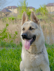 Similar image 21421932