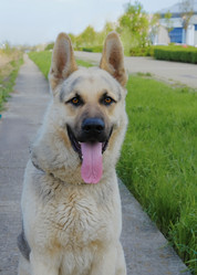 Similar image 21421933