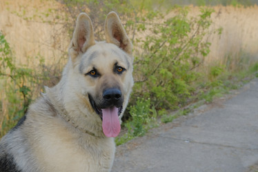 Similar image 21421934