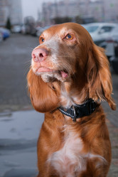 Similar image 21421789