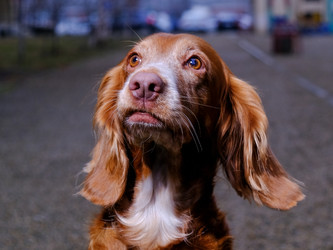 Similar image 21421795