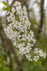 Similar image 21422119