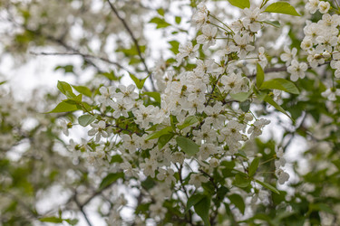 Similar image 21422120