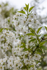 Similar image 21422121