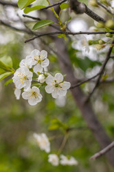 Similar image 21422122