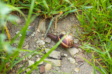 Similar image 21422125