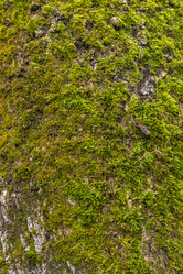 Similar image 21422127