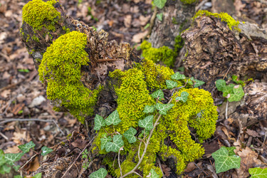 Similar image 21422128