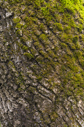 Similar image 21422129