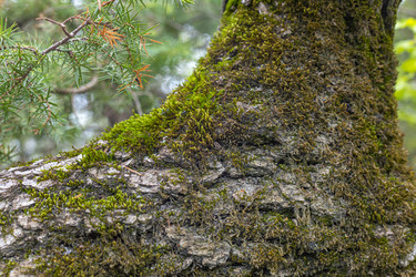 Similar image 21422133