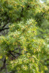 Similar image 21422134