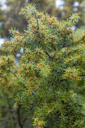 Similar image 21422135