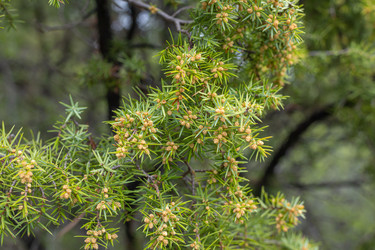 Similar image 21422136