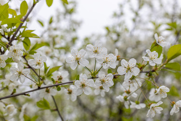 Similar image 21422137