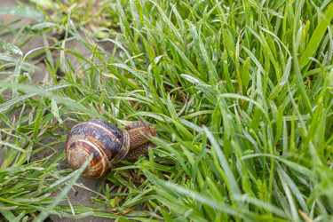 Similar image 21422138