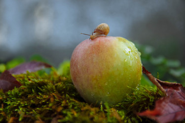 Similar image 21424782