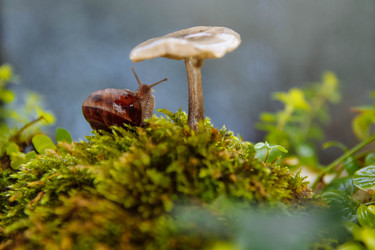 Similar image 21424787