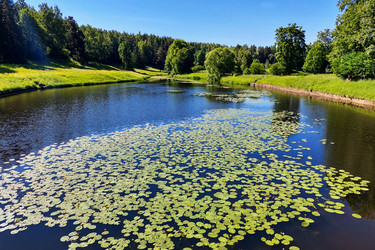 Similar image 21423888