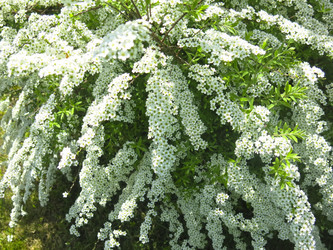 Similar image 21423799