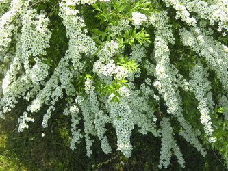 Similar image 21423800